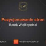 Pozycjonowanie stron Borek Wielkopolski – Pozycjonowanie w Borku Wielkopolskim