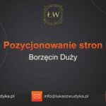 Pozycjonowanie stron Borzęcin Duży – Pozycjonowanie w Borzęcinie Dużym