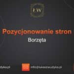 Pozycjonowanie stron Borzęta – Pozycjonowanie w Borzęcie