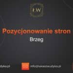 Pozycjonowanie stron Brzeg – Pozycjonowanie w Brzegu