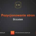 Pozycjonowanie stron Brzostek – Pozycjonowanie w Brzostku