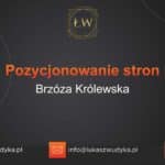 Pozycjonowanie stron Brzóza Królewska – Pozycjonowanie w Brzózie Królewskiej