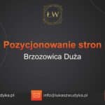 Pozycjonowanie stron Brzozowica Duża – Pozycjonowanie w Brzozowicy Dużej