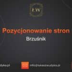 Pozycjonowanie stron Brzuśnik – Pozycjonowanie w Brzuśniku