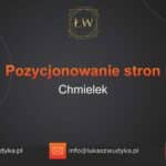 Pozycjonowanie stron Chmielek – Pozycjonowanie w Chmielku