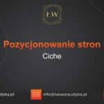 Pozycjonowanie stron Ciche – Pozycjonowanie w Cichem