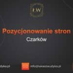 Pozycjonowanie stron Czarków – Pozycjonowanie w Czarkowie