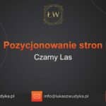 Pozycjonowanie stron Czarny Las – Pozycjonowanie w Czarnym Lesie