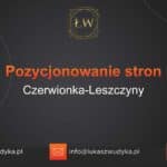 Pozycjonowanie stron Czerwionka-Leszczyny – Pozycjonowanie w Czerwionce-Leszczynach