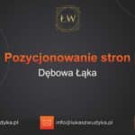 Pozycjonowanie stron Dębowa Łąka – Pozycjonowanie w Dębowej Łące