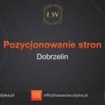 Pozycjonowanie stron Dobrzelin – Pozycjonowanie w Dobrzelinie