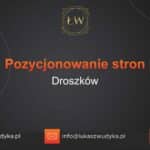 Pozycjonowanie stron Droszków – Pozycjonowanie w Droszkowie