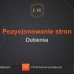 Pozycjonowanie stron Dubienka – Pozycjonowanie w Dubience