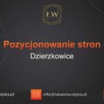 Pozycjonowanie stron Dzierzkowice – Pozycjonowanie w Dzierzkowicach