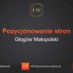 Pozycjonowanie stron Głogów Małopolski – Pozycjonowanie w Głogowie Małopolskim