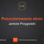 Pozycjonowanie stron Janków Przygodzki – Pozycjonowanie w Jankowie Przygodzkim