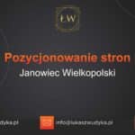 Pozycjonowanie stron Janowiec Wielkopolski – Pozycjonowanie w Janowcu Wielkopolskim