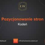 Pozycjonowanie stron Kodeń – Pozycjonowanie w Kodniu