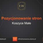 Pozycjonowanie stron Koszyce Małe – Pozycjonowanie w Koszycach Małych