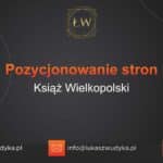 Pozycjonowanie stron Książ Wielkopolski – Pozycjonowanie w Książu Wielkopolskim