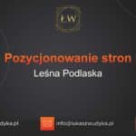 Pozycjonowanie stron Leśna Podlaska – Pozycjonowanie w Leśnej Podlaskiej