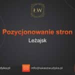 Pozycjonowanie stron Leżajsk – Pozycjonowanie w Leżajsku