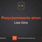 Pozycjonowanie stron Lisia Góra – Pozycjonowanie w Lisiej Górze