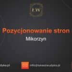 Pozycjonowanie stron Mikorzyn – Pozycjonowanie w Mikorzynie