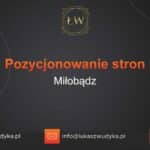 Pozycjonowanie stron Miłobądz – Pozycjonowanie w Miłobądzu