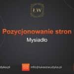 Pozycjonowanie stron Mysiadło – Pozycjonowanie w Mysiadle