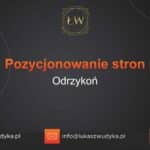 Pozycjonowanie stron Odrzykoń – Pozycjonowanie w Odrzykoniu