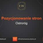 Pozycjonowanie stron Ostroróg – Pozycjonowanie w Ostrorogu