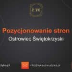 Pozycjonowanie stron Ostrowiec Świętokrzyski – Pozycjonowanie w Ostrowcu Świętokrzyskim