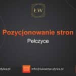 Pozycjonowanie stron Pełczyce – Pozycjonowanie w Pełczycach