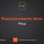 Pozycjonowanie stron Pilica – Pozycjonowanie w Pilicy