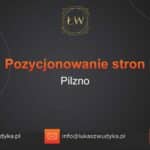 Pozycjonowanie stron Pilzno – Pozycjonowanie w Pilźnie