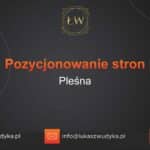 Pozycjonowanie stron Pleśna – Pozycjonowanie w Pleśnej