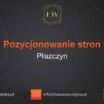 Pozycjonowanie stron Pliszczyn – Pozycjonowanie w Pliszczynie