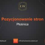 Pozycjonowanie stron Płośnica – Pozycjonowanie w Płośnicy