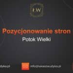 Pozycjonowanie stron Potok Wielki – Pozycjonowanie w Potoku Wielkim