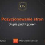 Pozycjonowanie stron Słupia pod Kępnem – Pozycjonowanie w Słupi pod Kępnem