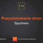 Pozycjonowanie stron Spychowo – Pozycjonowanie w Spychowie