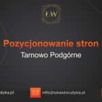 Pozycjonowanie stron Tarnowo Podgórne – Pozycjonowanie w Tarnowie Podgórnym