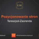 Pozycjonowanie stron Tereszpol-Zaorenda – Pozycjonowanie w Tereszpolu-Zaorendzie