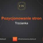 Pozycjonowanie stron Trzcianka – Pozycjonowanie w Trzciance