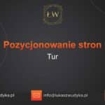 Pozycjonowanie stron Tur – Pozycjonowanie w Turze