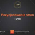 Pozycjonowanie stron Turośl – Pozycjonowanie w Turośli