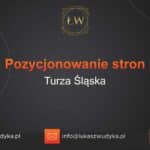 Pozycjonowanie stron Turza Śląska – Pozycjonowanie w Turzy Śląskiej