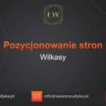 Pozycjonowanie stron Wilkasy – Pozycjonowanie w Wilkasach