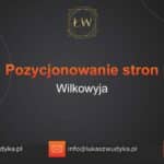 Pozycjonowanie stron Wilkowyja – Pozycjonowanie w Wilkowyi